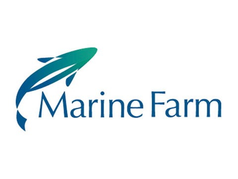 Marinefarm - WDesign - Diseño Web Profesional