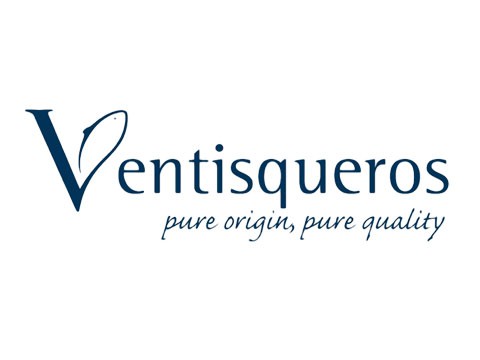 Ventisqueros - WDesign - Diseño Web Profesional