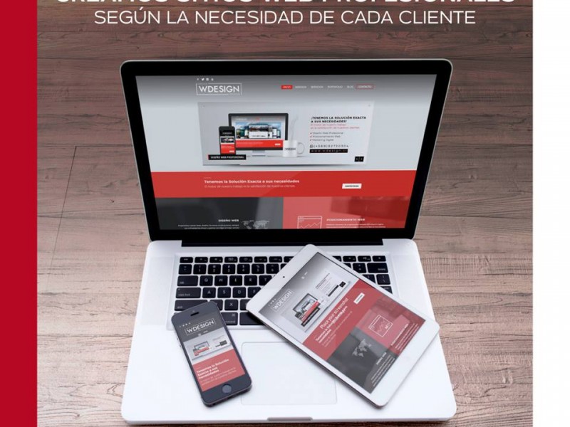 Especialistas Páginas Web Profesional Puerto montt - WDesign - Diseño Web Profesional