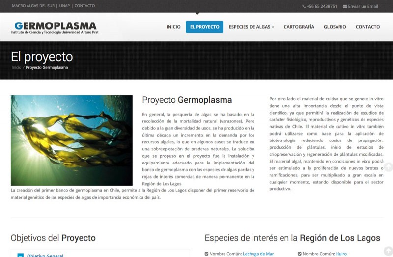 Germoplasma - WDesign - Diseño Web Profesional