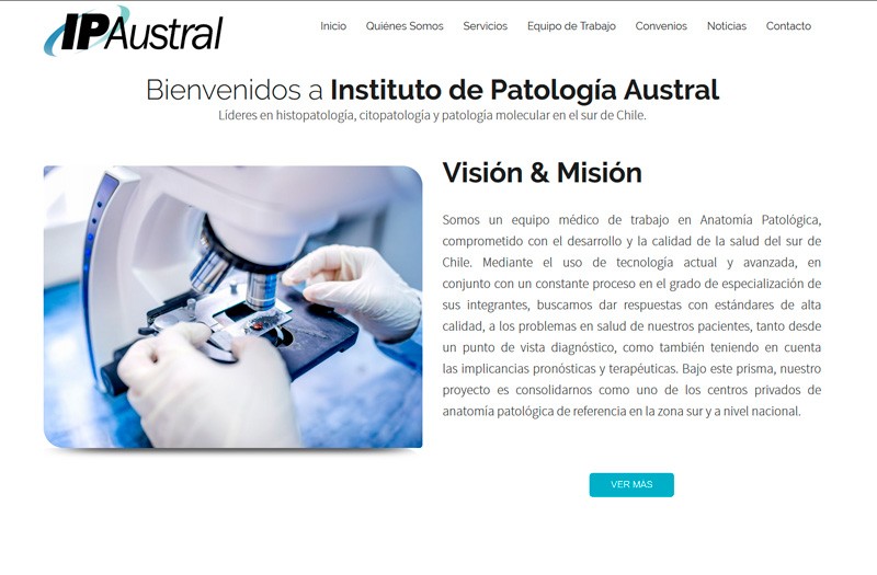IP Austral - WDesign - Diseño Web Profesional