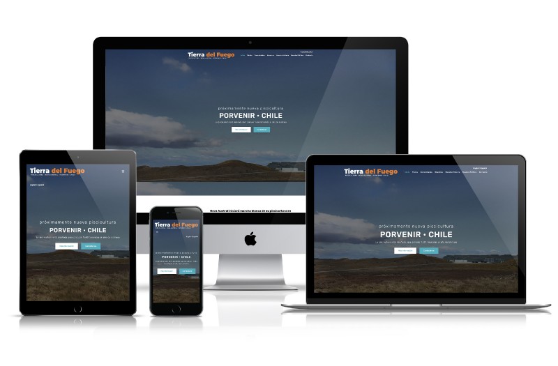 Piscicultura Tierra del Fuego S.A - WDesign - Diseño Web Profesional