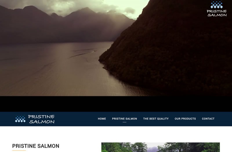 Pristine Salmon - WDesign - Diseño Web Profesional